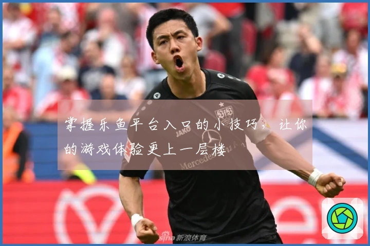 掌握乐鱼平台入口的小技巧，让你的游戏体验更上一层楼