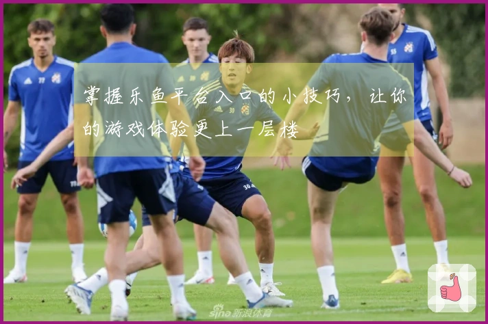 掌握乐鱼平台入口的小技巧，让你的游戏体验更上一层楼
