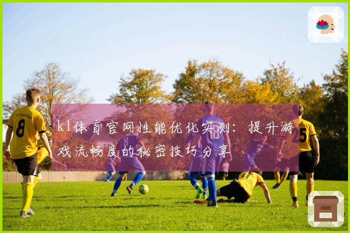 k1体育官网性能优化实测：提升游戏流畅度的秘密技巧分享