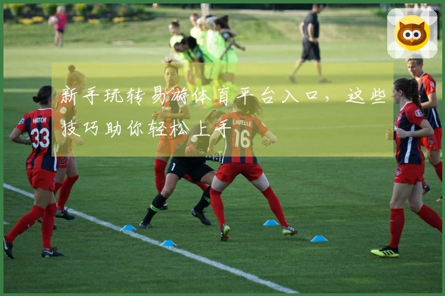 新手玩转易游体育平台入口，这些技巧助你轻松上手