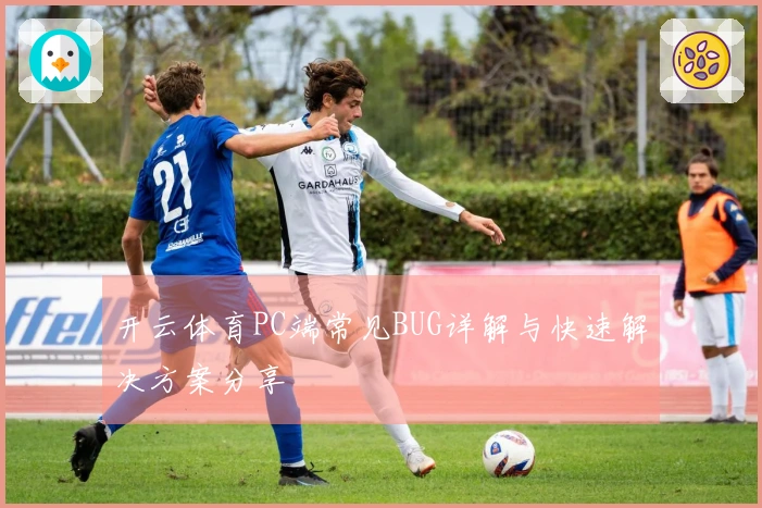开云体育PC端常见BUG详解与快速解决方案分享